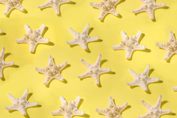 Fototapeta na wymiar Summer pattern background with starfish on trend yellow background, with hard light dark shadows
