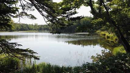 知床 知床五湖 知床半島 北海道 日本 世界遺産 知床国立公園