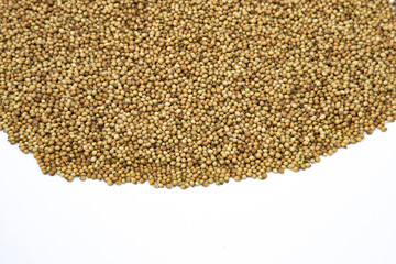 Coriander seeds isolated on white background. Organic Coriander Seeds. Coriander seeds Background.
