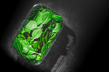Fresh green Spinach leaves in a plastic package box on Dark grey black slate background with copy space. top view