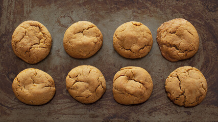 Ginger cookies on old and distressed baking sheet
