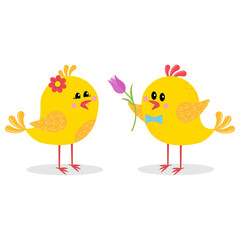 love chicks isolated on white background, color vector illustration