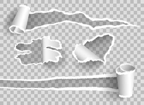 Curled ripped paper, realistic textures