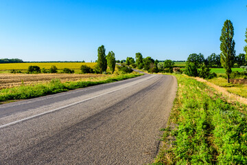New asphalt road with the white dividing strip