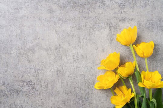 Concept of Mother's day holiday greeting with yellow tulip bouquet on gray background