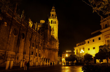 Fototapeta na wymiar Seville Cathedral at night, Spain