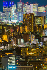 Fototapeta na wymiar 新宿の夜景（文京シビックセンターから撮影）