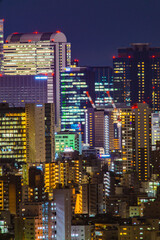 Fototapeta na wymiar 新宿の夜景（文京シビックセンターから撮影）