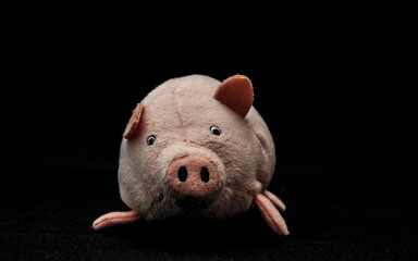 plush toy pig