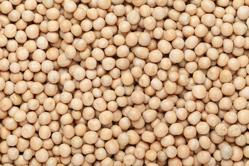 Close up of Organic dry peas whole  (Pisum sativum) or matar dal Full-Frame Background. Top View 