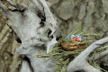 Kleine Holzv&ouml;gel im Walnussnest
