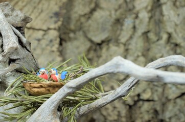 Kleine Holzv&ouml;gel im Walnussnest