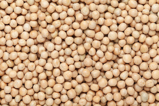 Close up of Organic dry peas whole  (Pisum sativum) or matar dal Full-Frame Background. Top View 