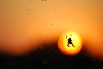 Beautiful sunset in Poland