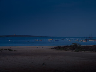 Night time on the beach of Sal Rei, Cape Verde. Small wooden fishing boats floating in the Atlantic Ocean, some mongrel dogs are chilling on the beach. Selective focus on the land, blurred background.