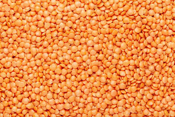 Close up of Organic masoor dal (Lens culinaris) or whole pink dal Full-Frame Background. Top View 