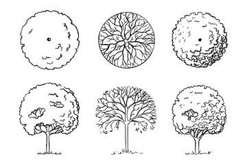 Sketch of deciduous trees set three plants