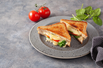 grilled cheese spinach and tomato sandwich on concrete background