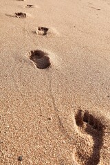 footprints in the sand