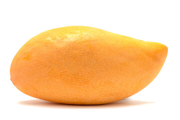 A yellow ripe mango that is distinguished from the white background.