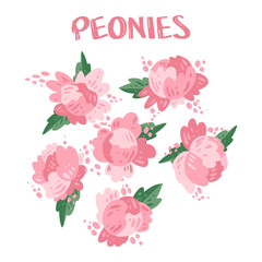 Set of peonies drawn in cartoon style, vector