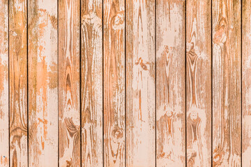 Fototapeta na wymiar Brown planks of fence surface with natural pattern, wood texture background