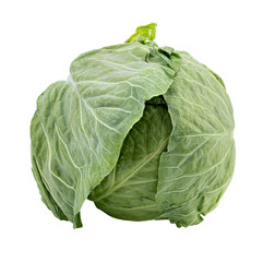 Fototapeta premium Fresh cabbage isolated on white background
