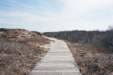 Obraz premium Boardwalk Path through the Dunes