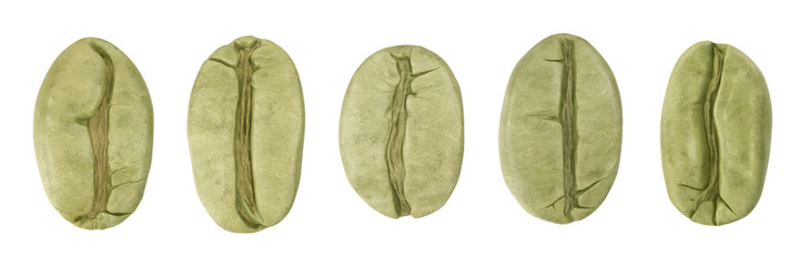Naklejka premium Set of different green coffee beans isolated on white . 3D illustration