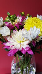 Colorful bouquet of dahlia flowers in glass vase