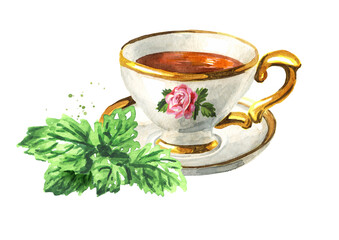 Cup of herbal tea with bunch of fresh Melissa or lemon balm leaves. Hand drawn watercolor illustration isolated on white background