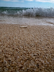 stone on the beach