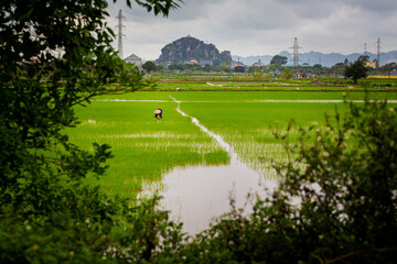 Tropical Tam Coc Vietnam landscape
