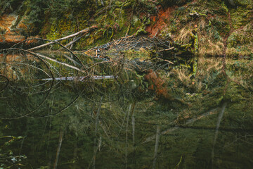 Mirror cliffs and cave surrounded by beautiful forest in Cirulisi nature trails near Cesis, Latvia
