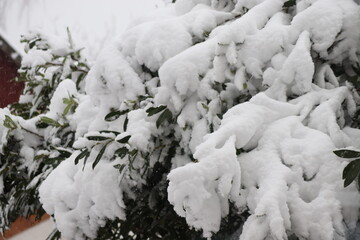 Winter