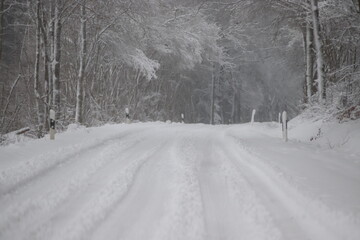 Winter