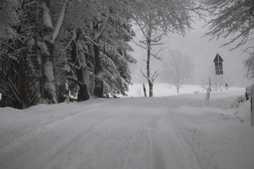 Winter