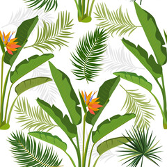 Fototapeta na wymiar Tropical vector seamless pattern with leaves of strelitzia, palm tree and flowers