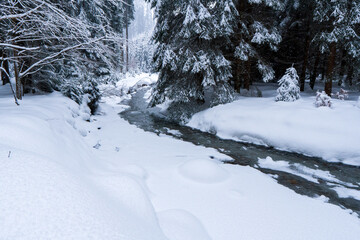 Fototapeta na wymiar Winter snow forest river landscape. Forest river in winter. Winter forest river flow