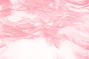 Coral pink vintage,feather pattern texture background,pastel soft fur for baby to sleep.