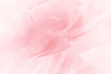 Coral pink vintage,feather pattern texture background,pastel soft fur for baby to sleep.