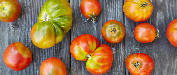 Red homemade tomatoes on the table. Panoramic top view.
