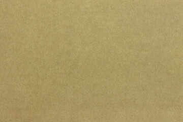 Fototapeta na wymiar Uniform texture of a dense light cardboard sheet.