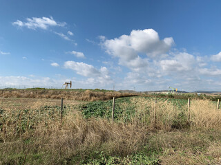 Extraction of gas and oil, site design © irbismarengo