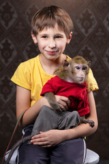 Obraz premium A little boy holds a monkey in his hands. The child plays with a monkey. Domestic primate with man.