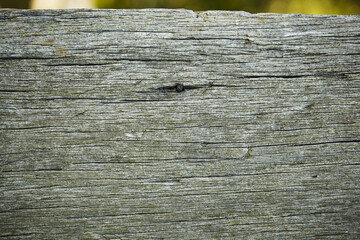 wooden line texture old background