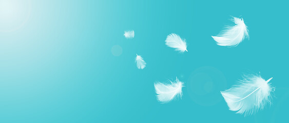 Fototapeta na wymiar White feathers floating in the sky with sunlight. free space .