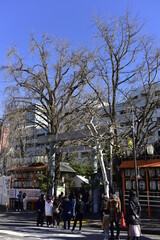 Fototapete bei efototapeten.de bestellen   