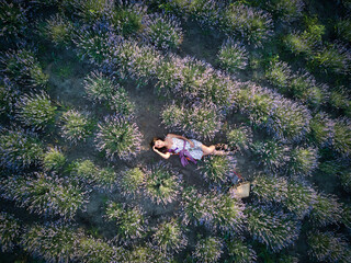 Young slim fair-skinned girl brunette beautiful lies in lavender field. Top view.