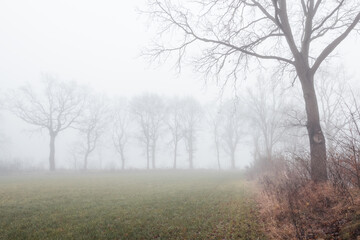 Obraz na płótnie Canvas Nebel-Landschaft